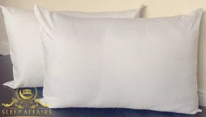 luxury foam bouncy pillows