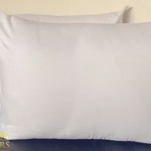 luxury foam bouncy pillows