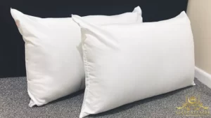 Economy Pillows